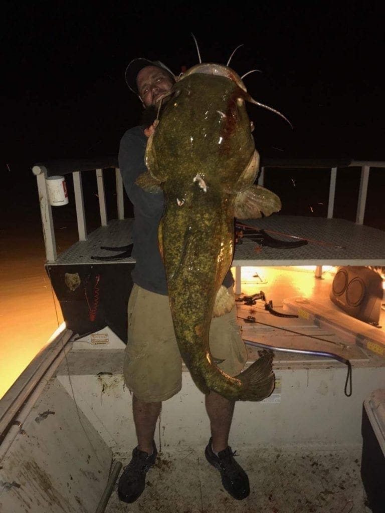 FLATHEAD CATFISH BowFishing